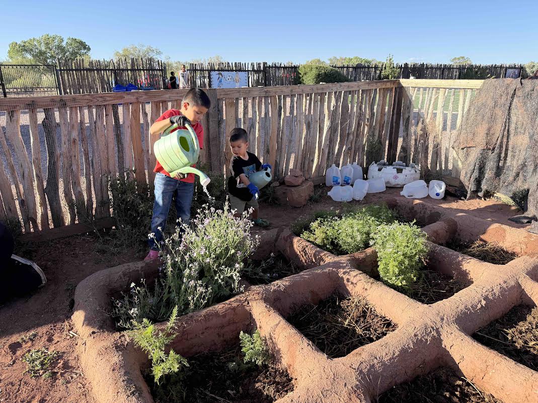 From Summer Camp To Community Gardens, ZYEP’s Food Sovereignty Initiatives Flourish In 2026