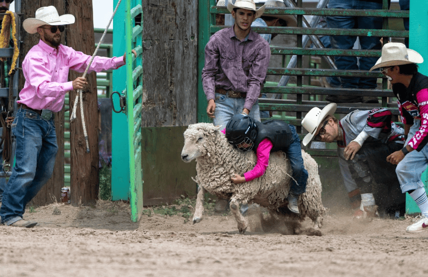 Scenes From Second Day Of Los Alamos Rodeo