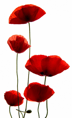 Happy Mother’s Day 2025!