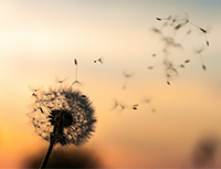 Unitarian Church To Host Five-Week Program, Dying My Way: What Are Options For Me And My Family?