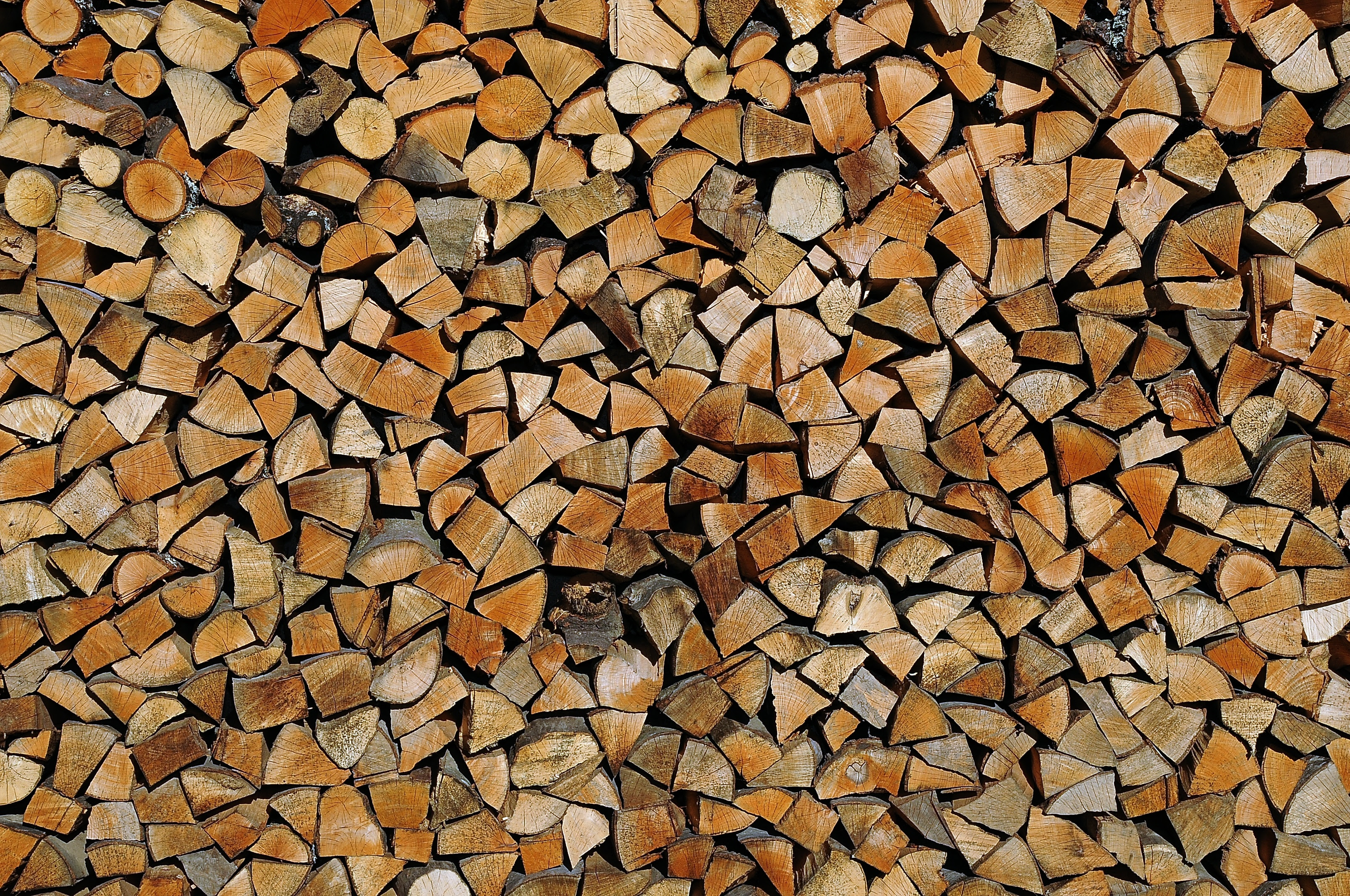 Santa Fe National Forest Begins Firewood Permit Sales