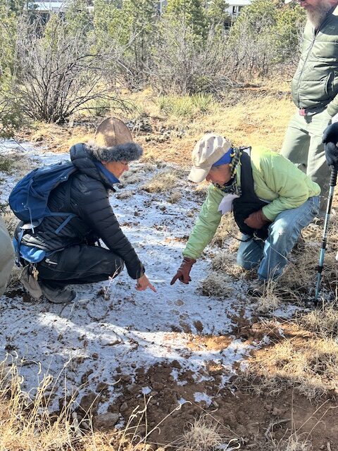 PEEC To Host Spring Wildlife Tracking Program With Certified Specialist Ann Hunkins May 1