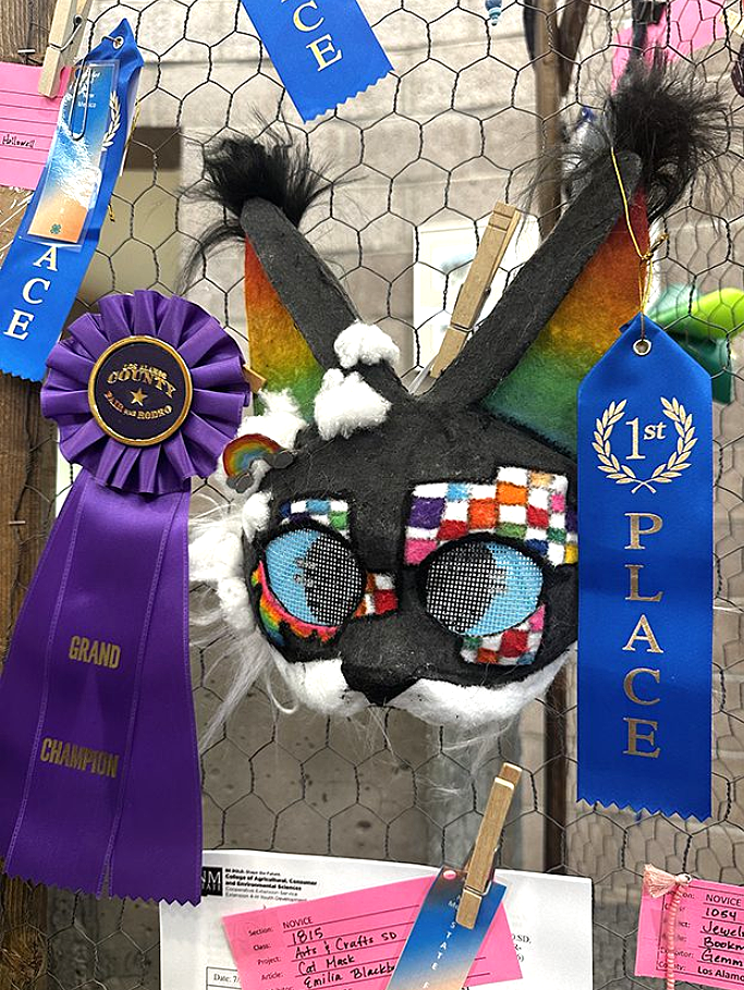 Scenes From 2026 Los Alamos County Fair Exhibits