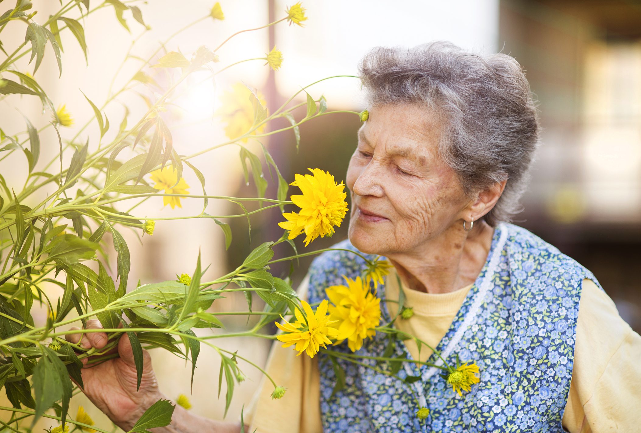 Registration Open For 48th Annual Conference On Aging - Los Alamos Daily Post