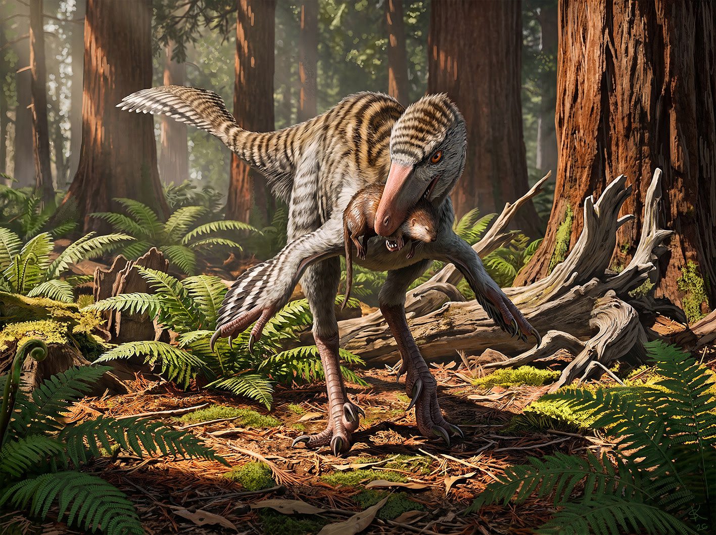 Museum Of Natural History & Science Researchers Identify New Bird